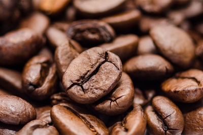 Conheça os tipos de grãos de café